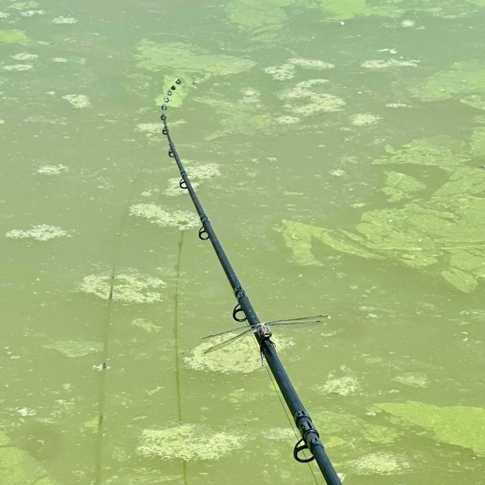 MATRIX Horizon X Ultra Pro Commercial Feeder Rods 11ft 60g