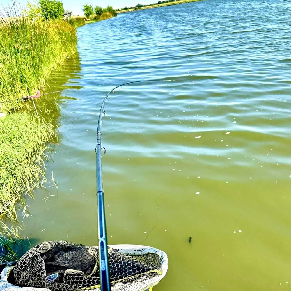 MATRIX Horizon X Ultra Pro Distance Rods 4m 100g