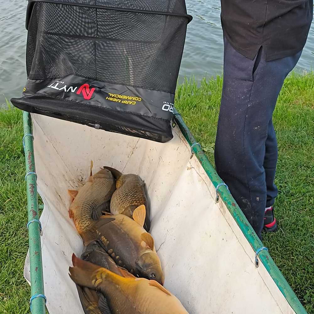 NYTRO Keepnet Carp Mesh 4.0m