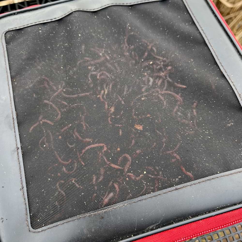 NYTRO Starkx 1818 EVA Live Bait Ventilation Bowl Small