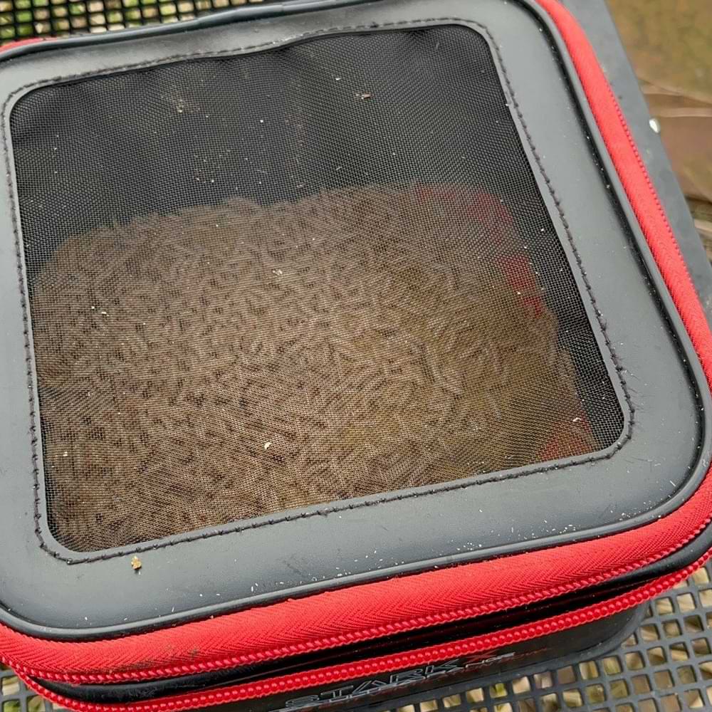 NYTRO Starkx 1818 EVA Live Bait Ventilation Bowl Small