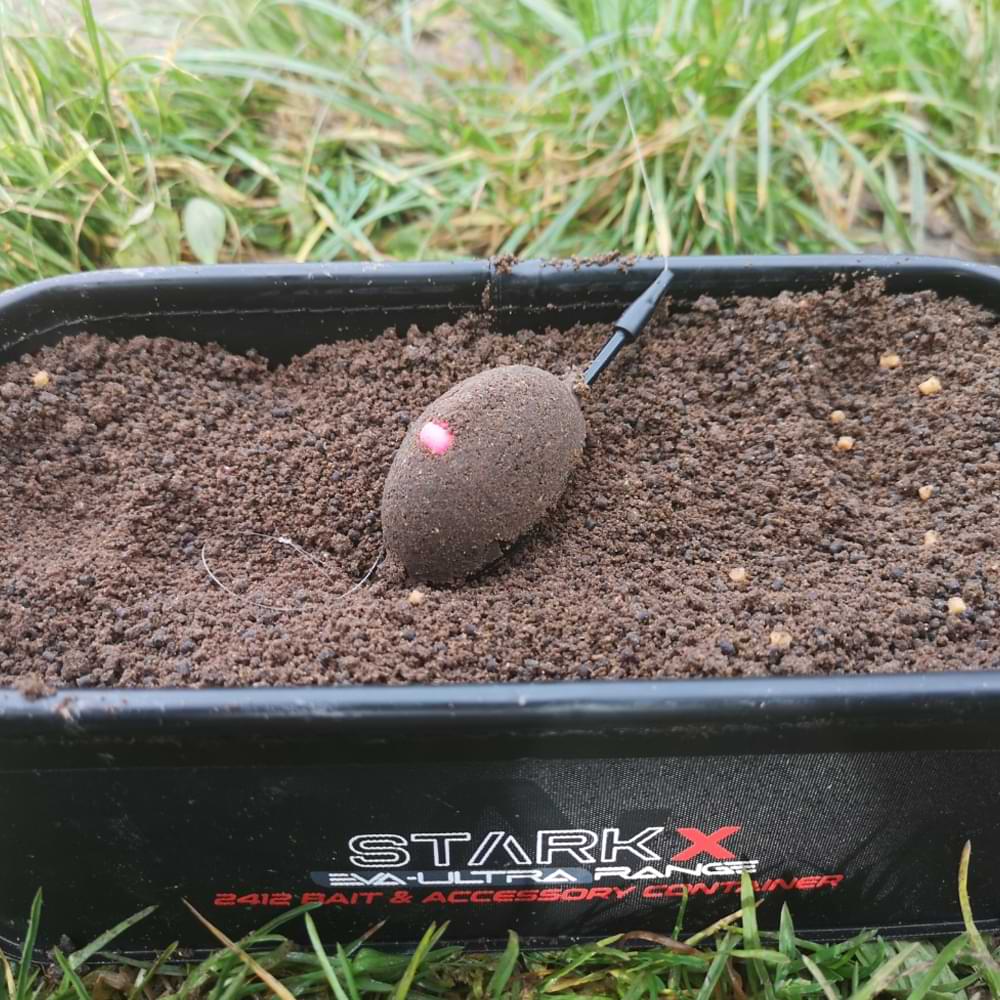 NYTRO Starkx 2412 EVA Bait and Accessory Container Medium