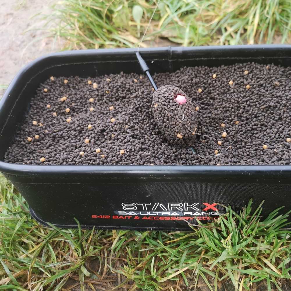 NYTRO Starkx 2412 EVA Bait and Accessory Container Medium