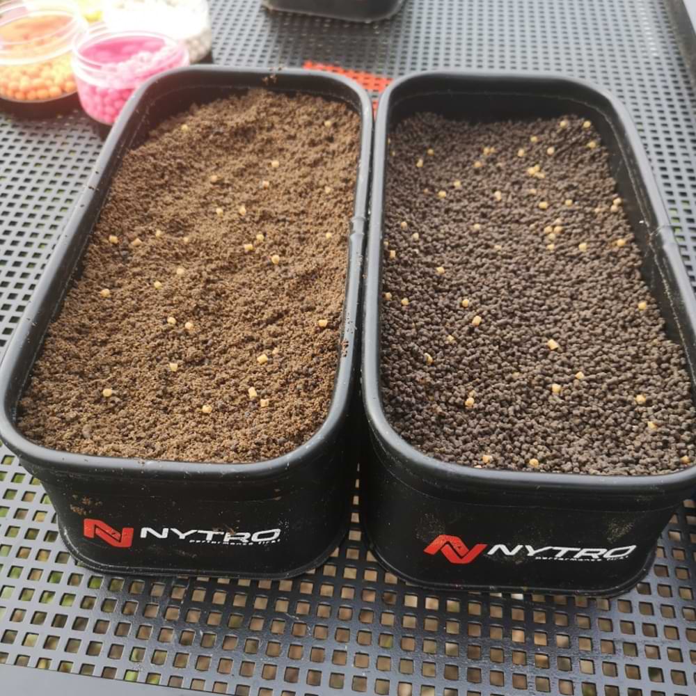 NYTRO Starkx 3812 EVA Bait and Accessory Container Large