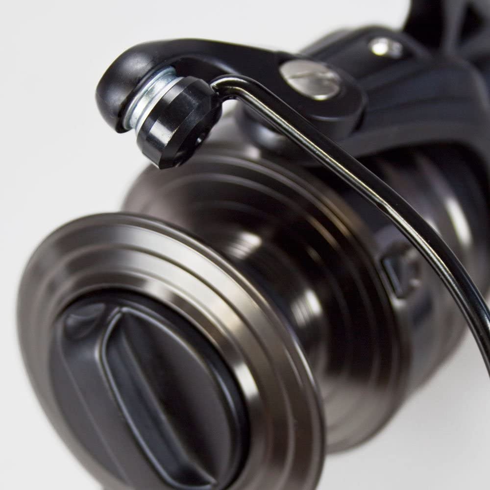 PENN Sargus II 8000 R