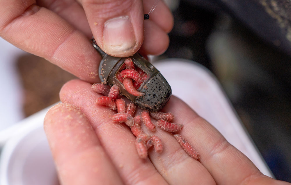 PRESTON ICM In-Line Maggot Feeder