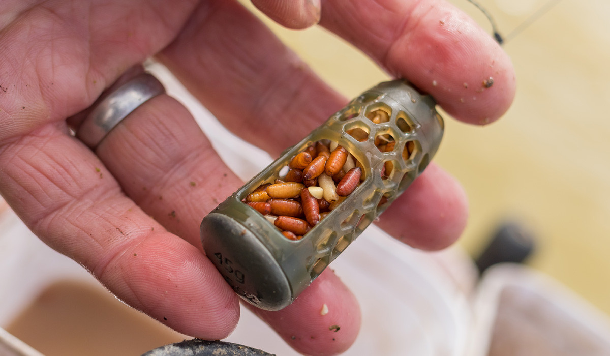 PRESTON Absolute Window Cage Feeder - Medium