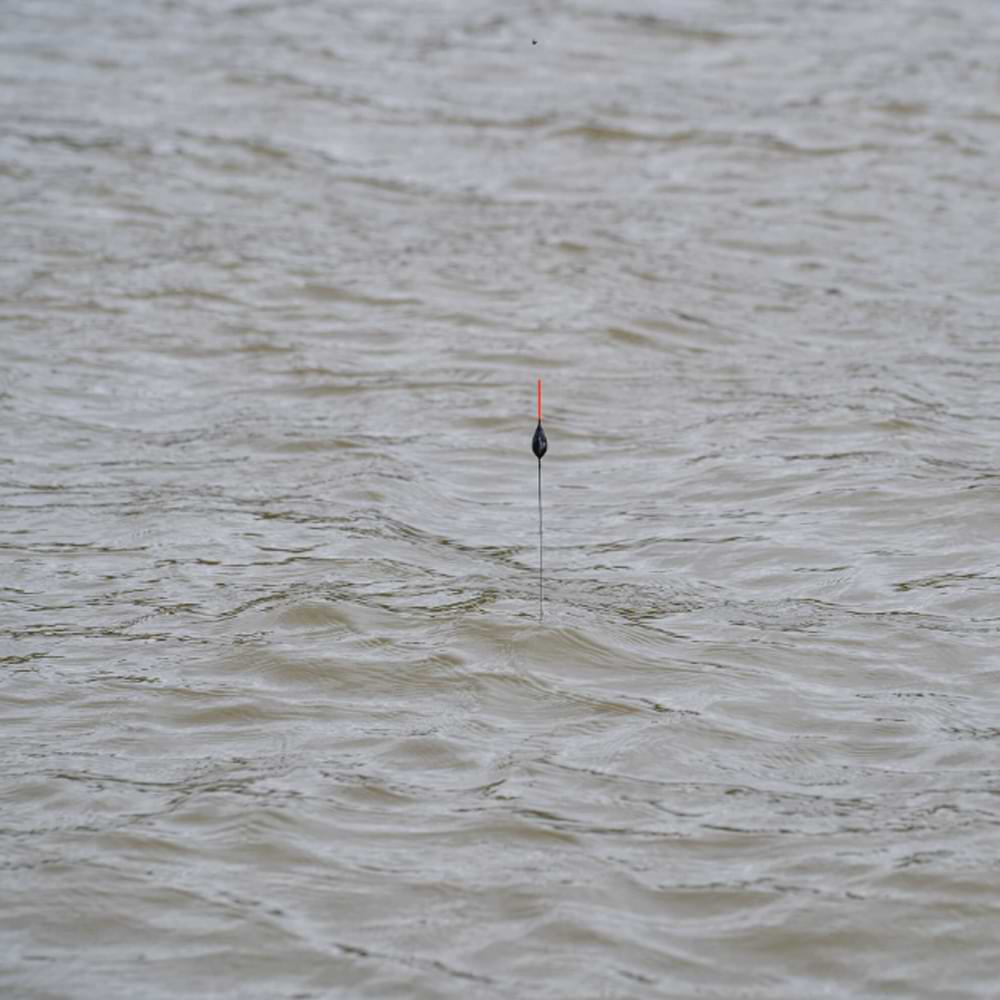 PRESTON Power Pole Rig