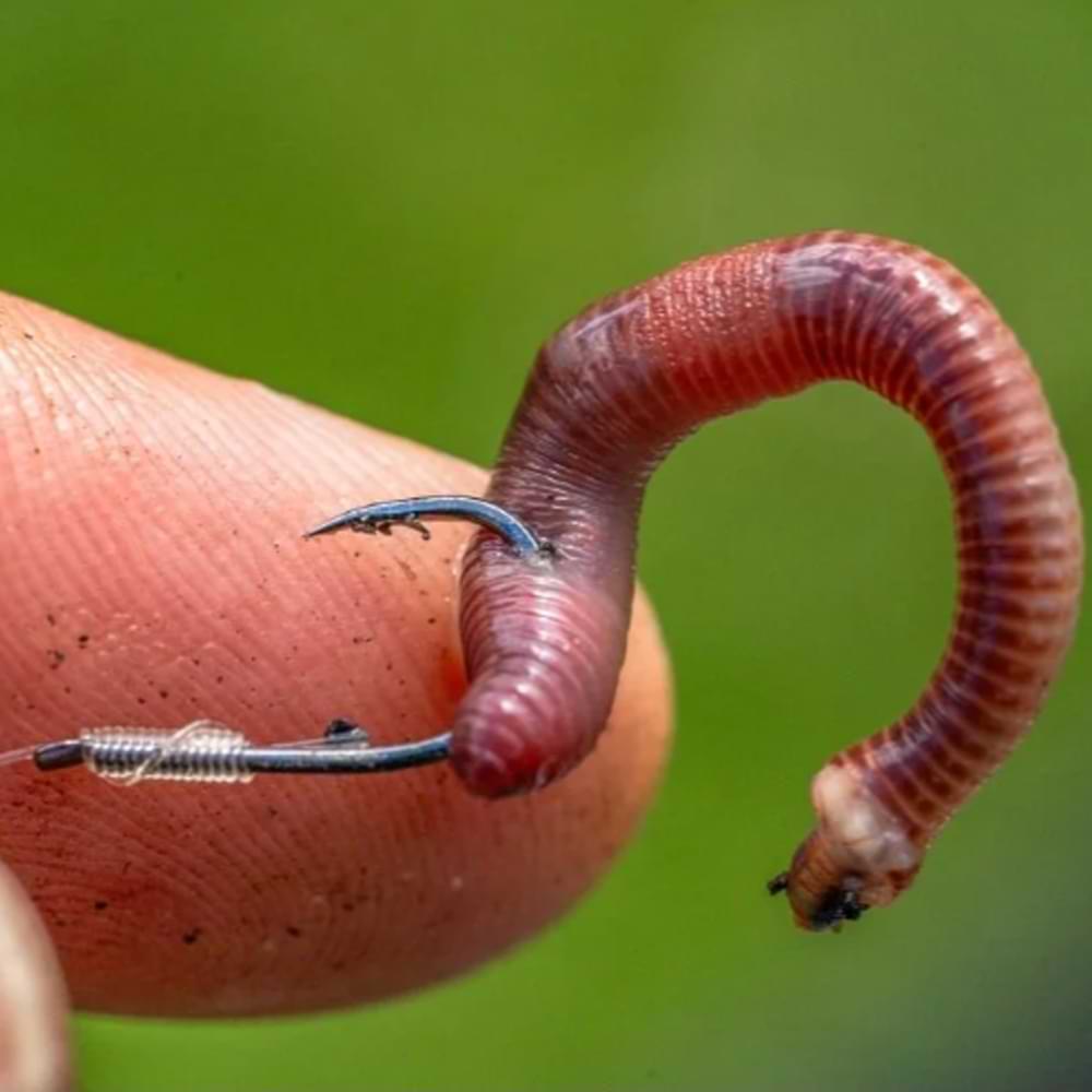 PRESTON Natural N-60