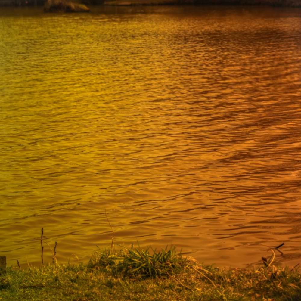 PRESTON Absolute Wrap Sunglasses - Amber Brown