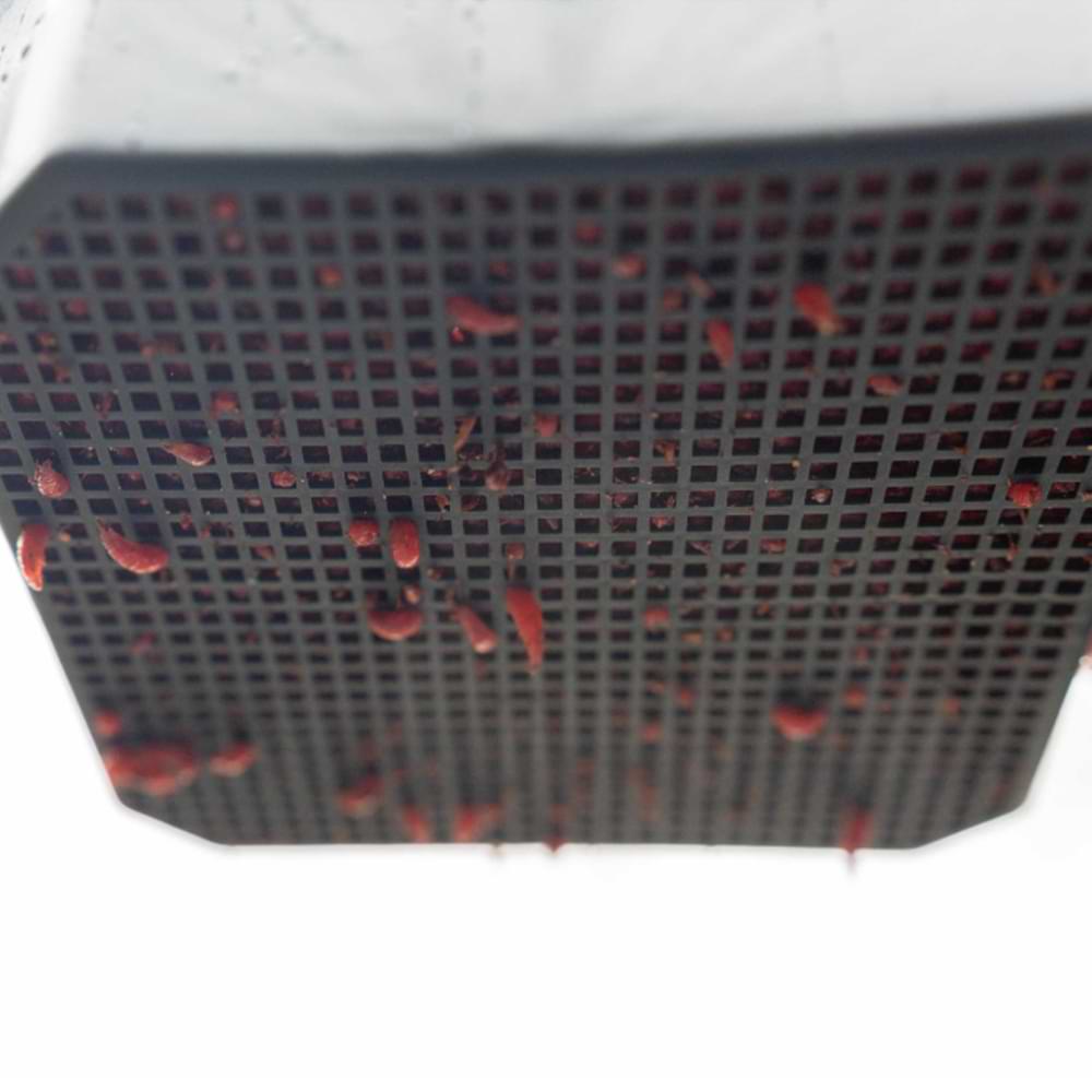 PRESTON 2 Pint Maggot Riddle - 2023