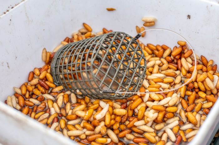 PRESTON Wire Bait Up Feeder