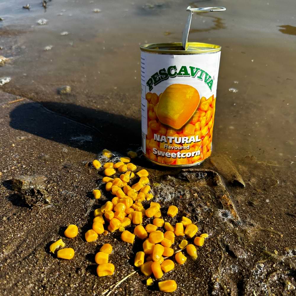 PESCA VIVA Natural Yellow 340g