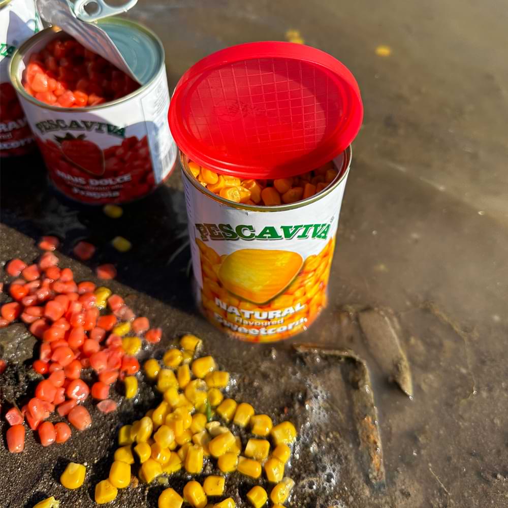 PESCA VIVA Natural Yellow 340g