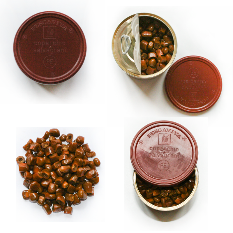 PESCA VIVA Trout Pellet 340g