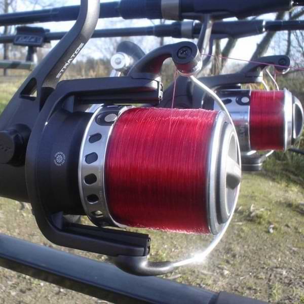 QUANTUM Quattron Salsa 275m