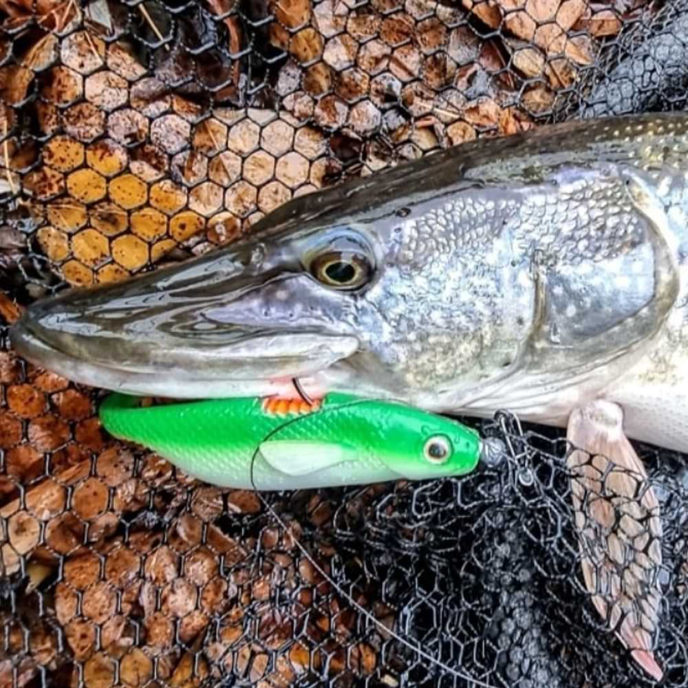 QUANTUM Bisswunder 30g 16cm 2pcs