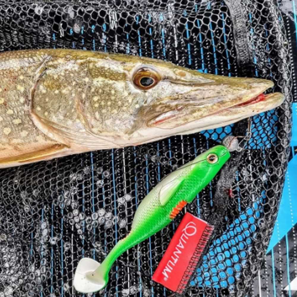 QUANTUM Bisswunder 30g 16cm 2pcs