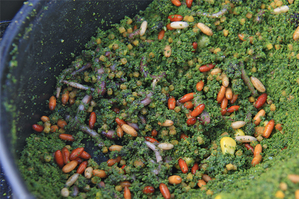 RINGERS Dark Green 1kg