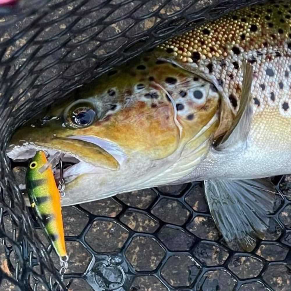 RAPALA Original Floater 50mm 3g