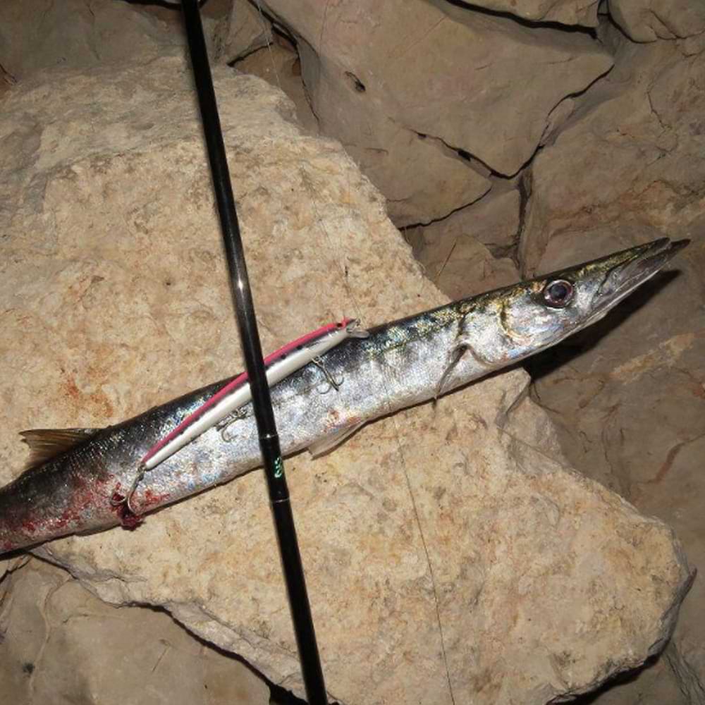 RAPALA MaxRap 130mm 15g