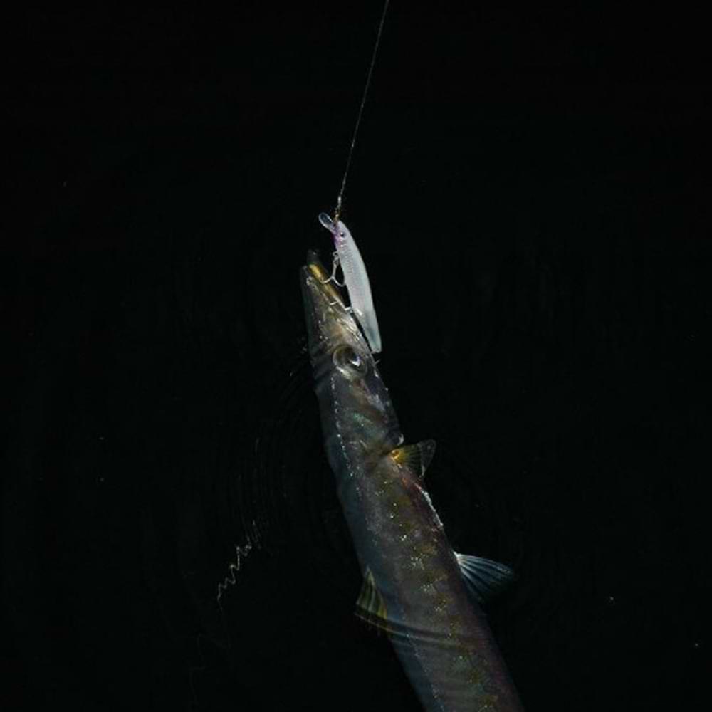 RAPALA MaxRap 110mm 13g