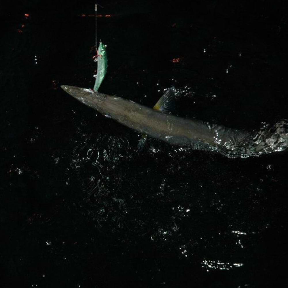 RAPALA MaxRap 150mm 23g