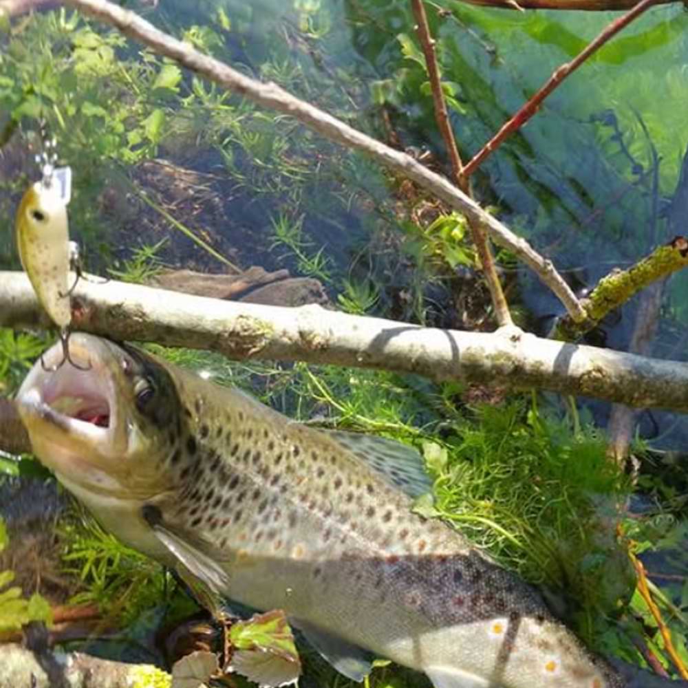 RAPALA Ultra Light Minnow 40mm 3g