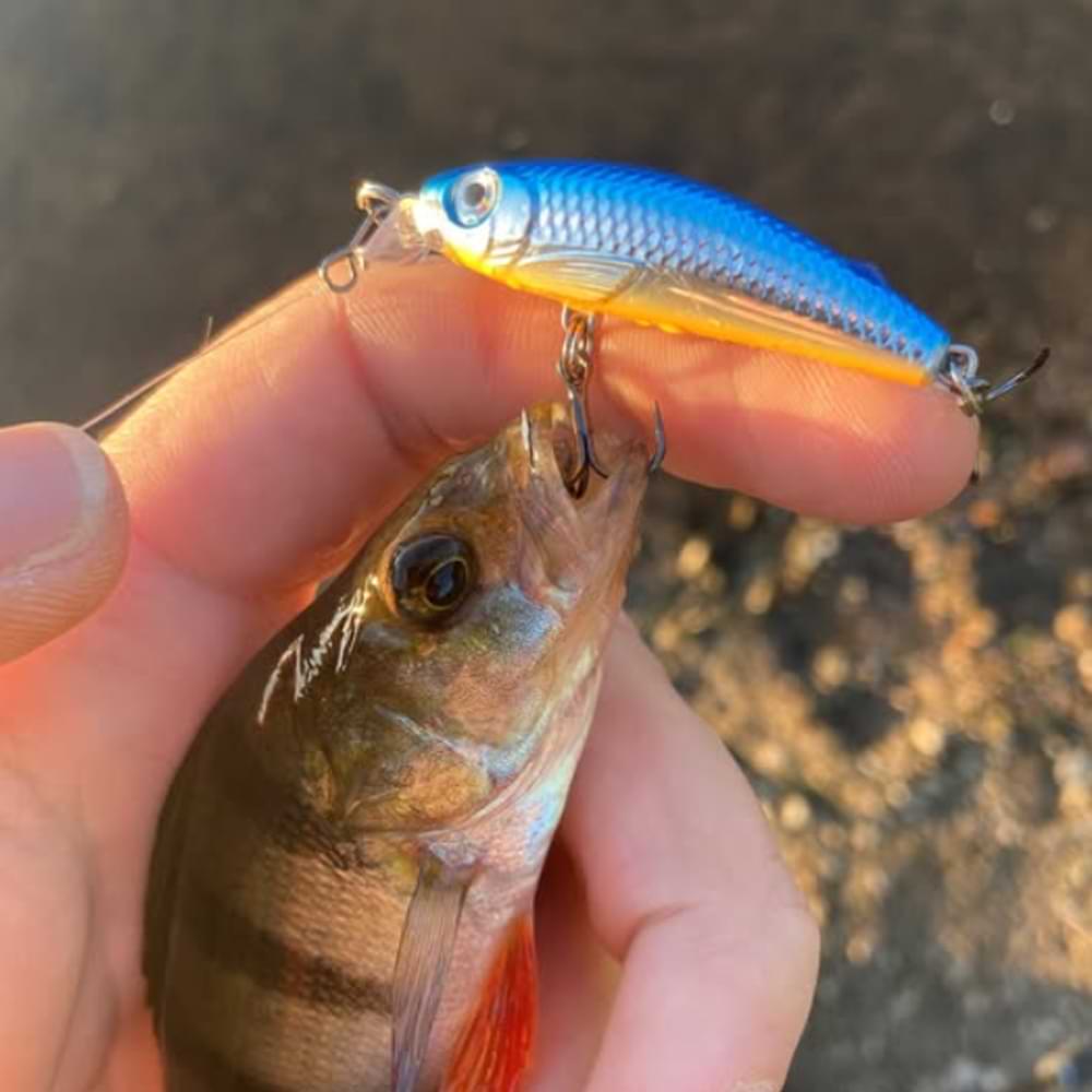 RAPALA Ultra Light Minnow 40mm 3g