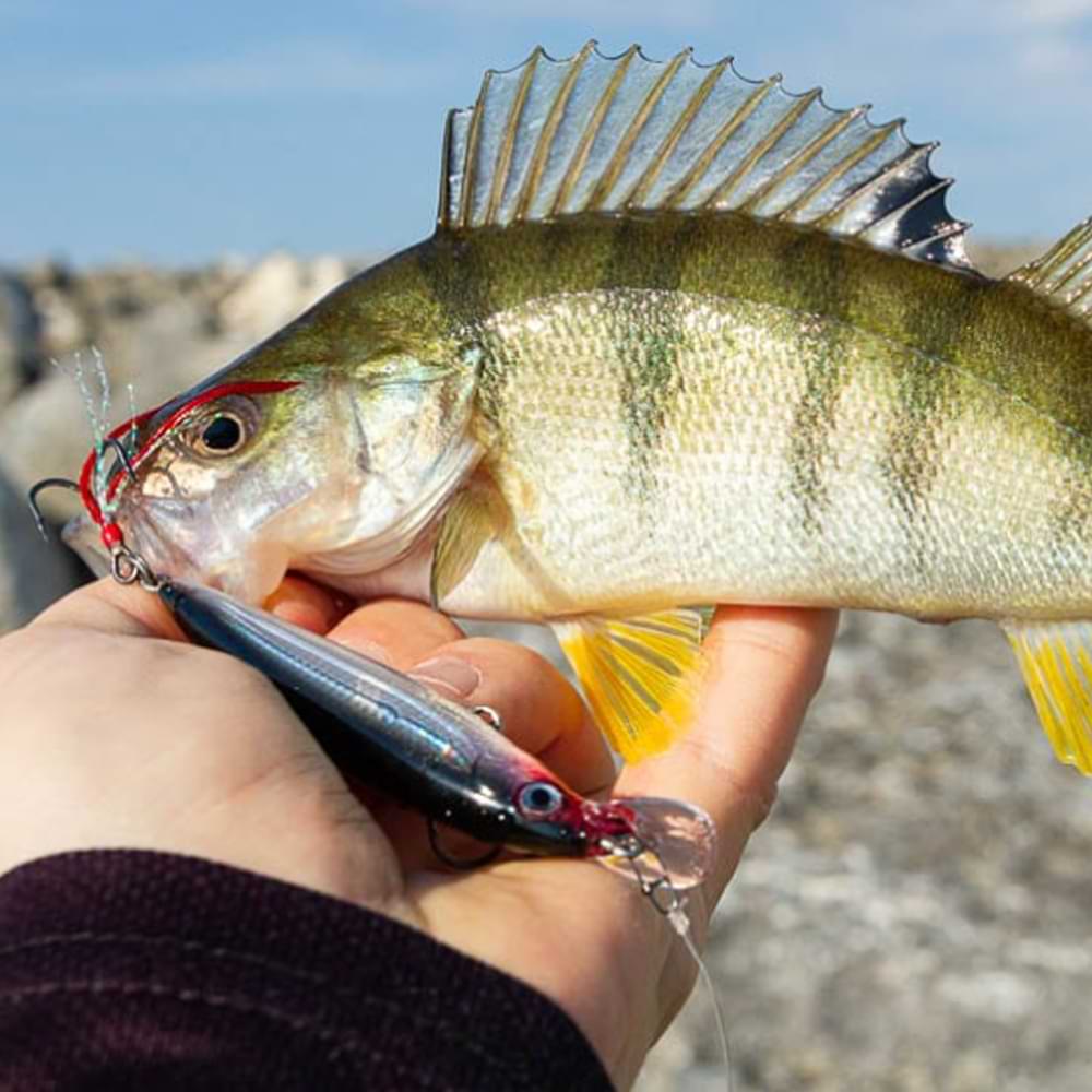 RAPALA X-Rap 100mm 13g