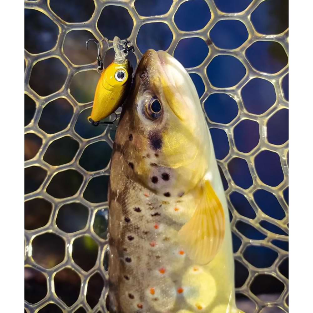 SMITH Camion SR 32mm 2.5g