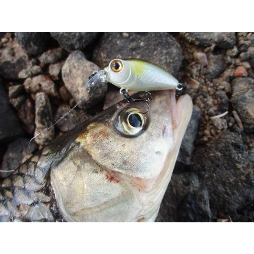 SMITH Camion SR 32mm 2.5g