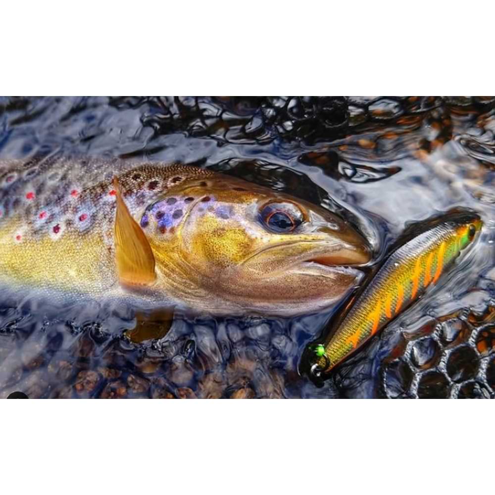 SMITH D-Contact 50mm 4.5g Sinking