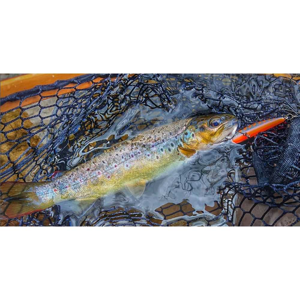 SMITH D-Contact 50mm 4.5g Sinking