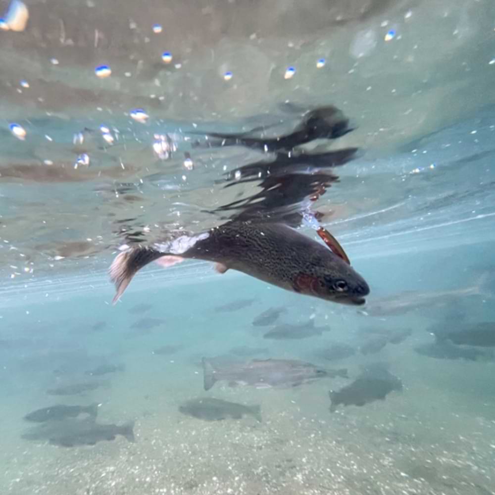 SMITH Still Area Tune 40mm 1.3g Floating