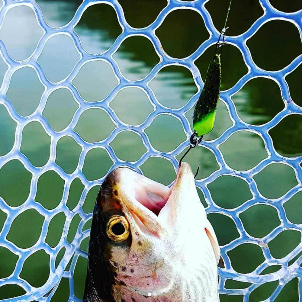 SMITH Zil 25.5mm 1.4g