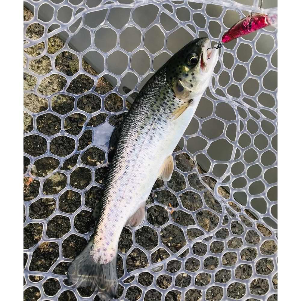 SMITH Calmo MR-F 38mm 1.8g Floating