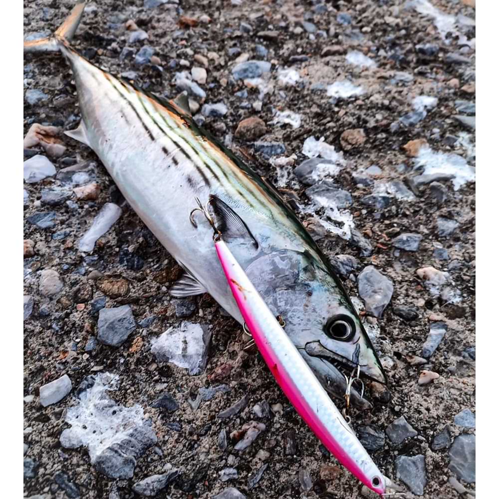 SMITH Haluca 165 F 165mm 30g Floating