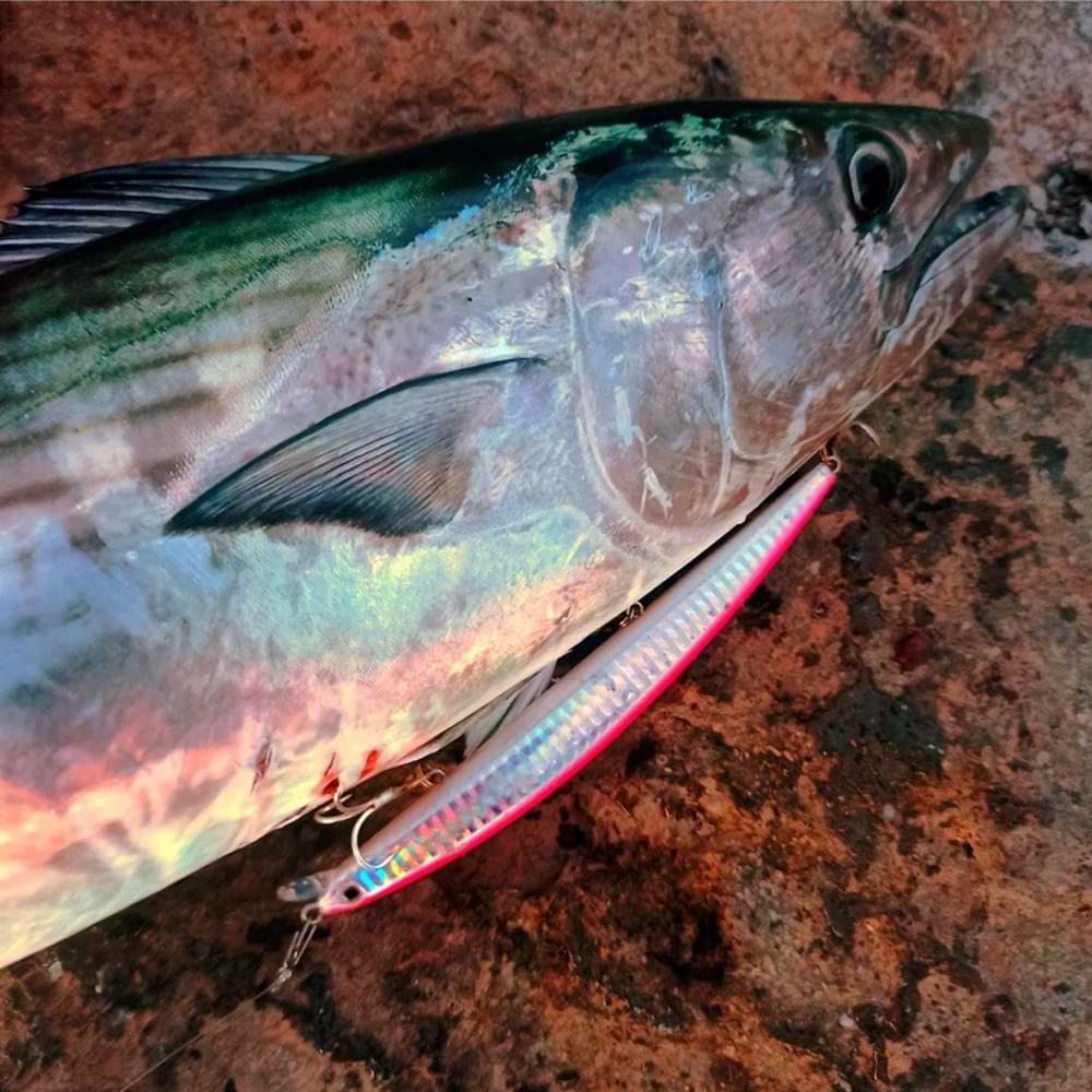 SMITH Haluca 165 F 165mm 30g Floating