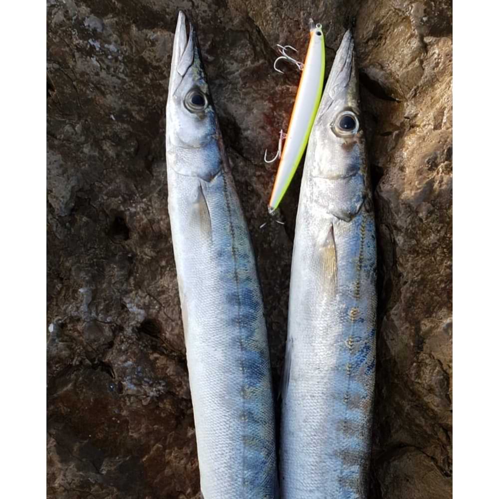 SMITH Haluca 165 F 165mm 30g Floating