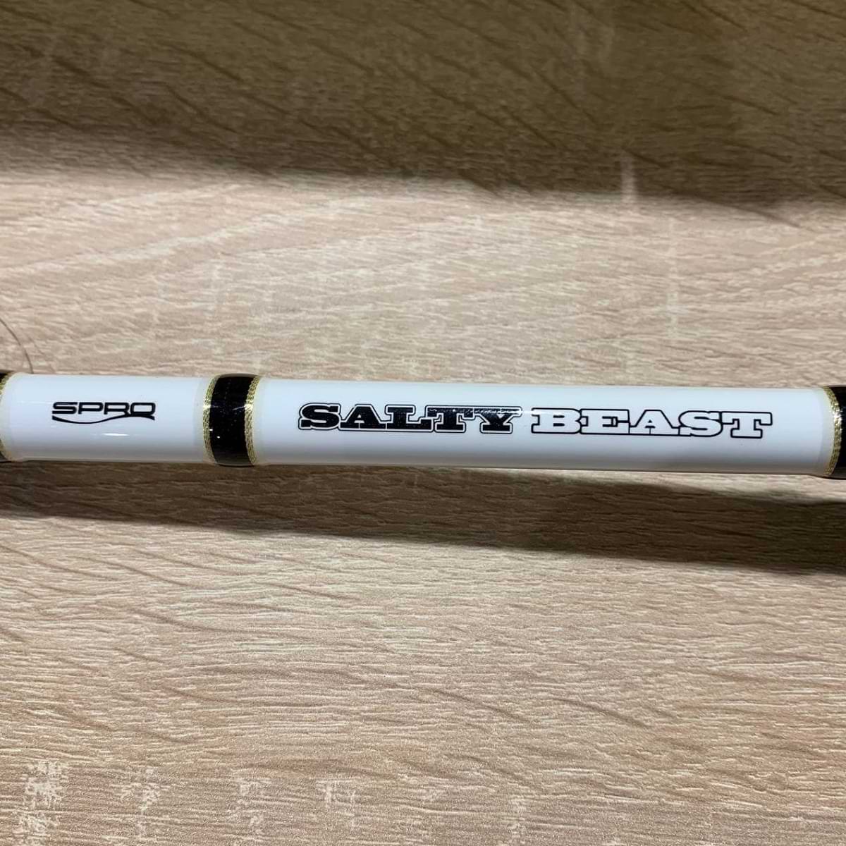 SPRO Salty Beast Nano Jig Travel 240 150g