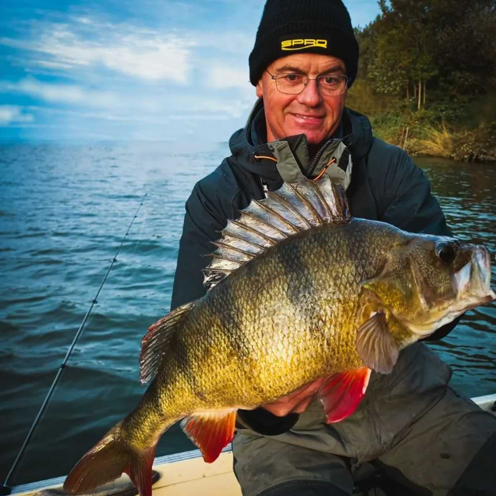 SPRO Specter Finesse Vertical-S 190 10-28g ML X-Fast