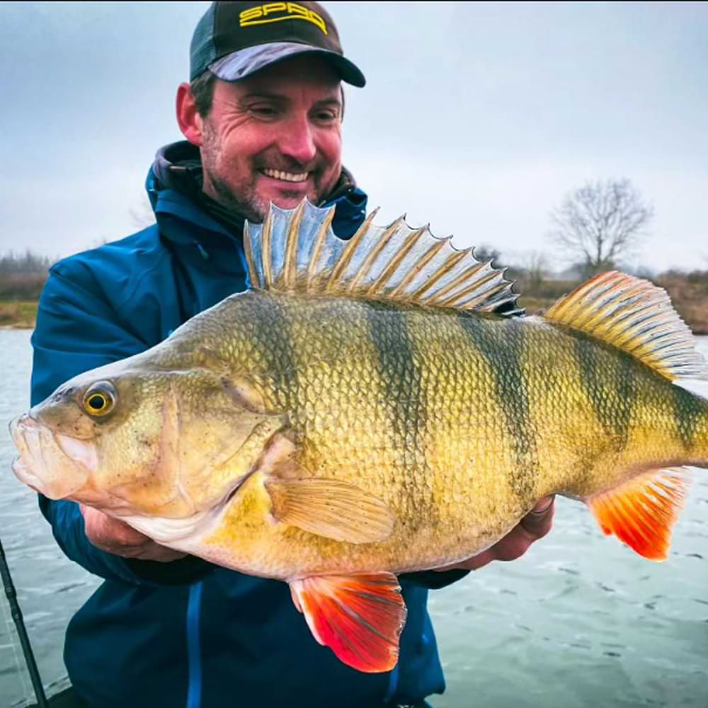 SPRO Specter Finesse Vertical-C 190 10-28g ML X-Fast