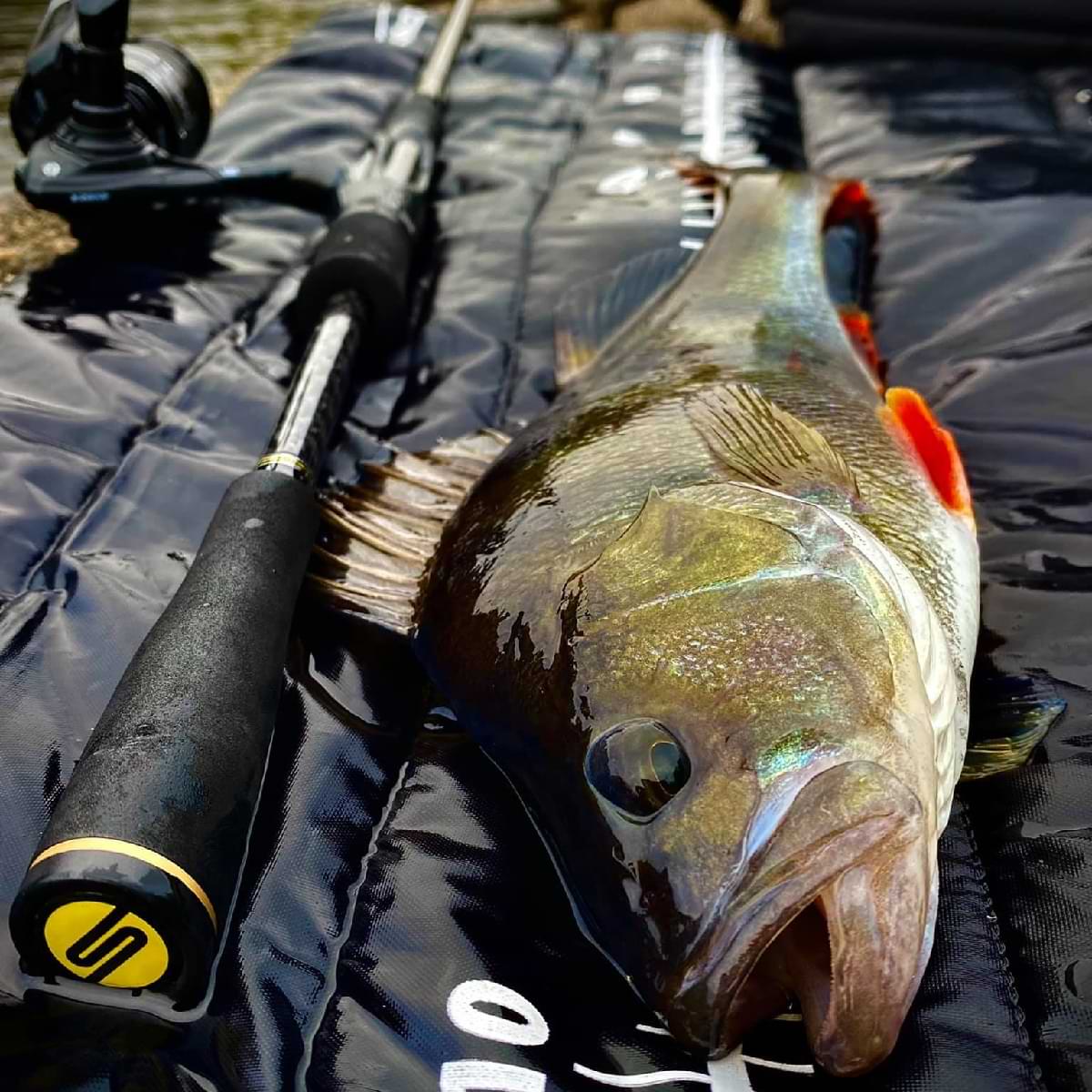 SPRO Specter Expedition Spinning L 5-20g 210