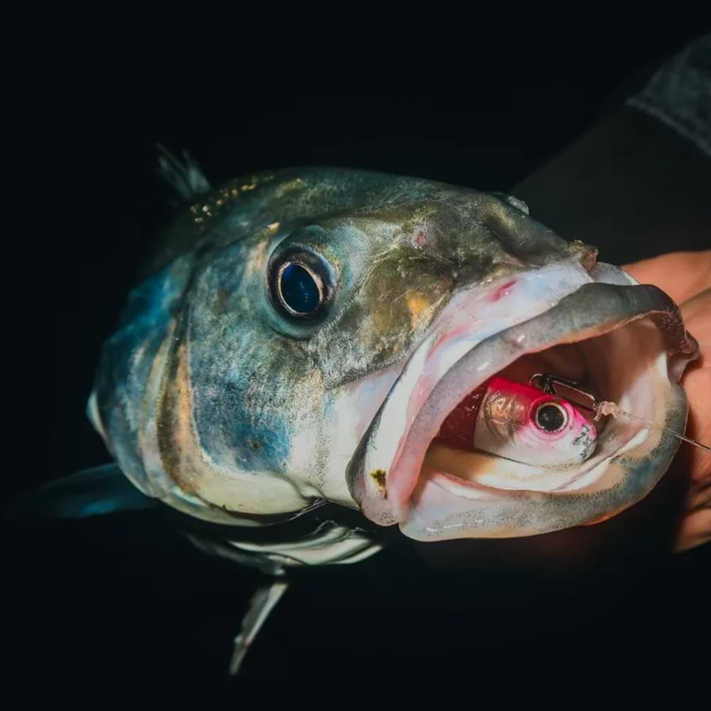 SPRO Specter Finesse Sea Spin M 2.30m 7-40g