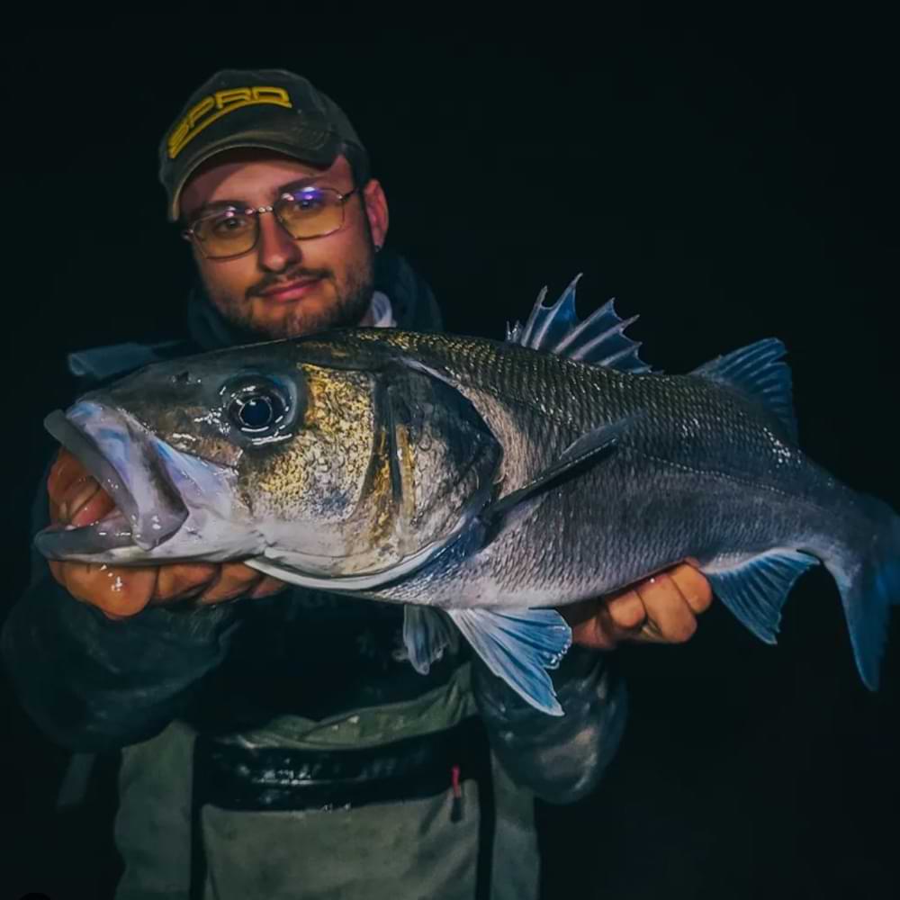 SPRO Specter Finesse Sea Spin MH 2.30m 9-50g