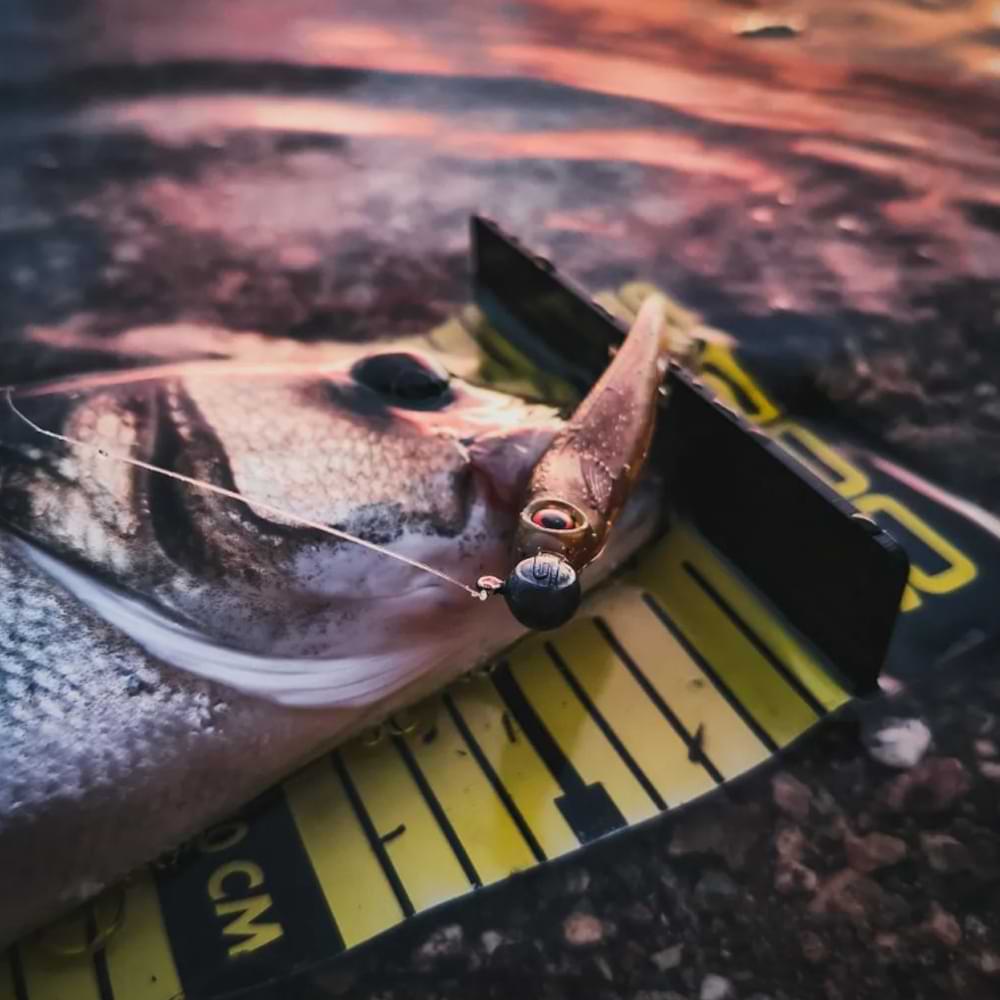 SPRO Specter Finesse Sea Spin M 2.45m 7-40g