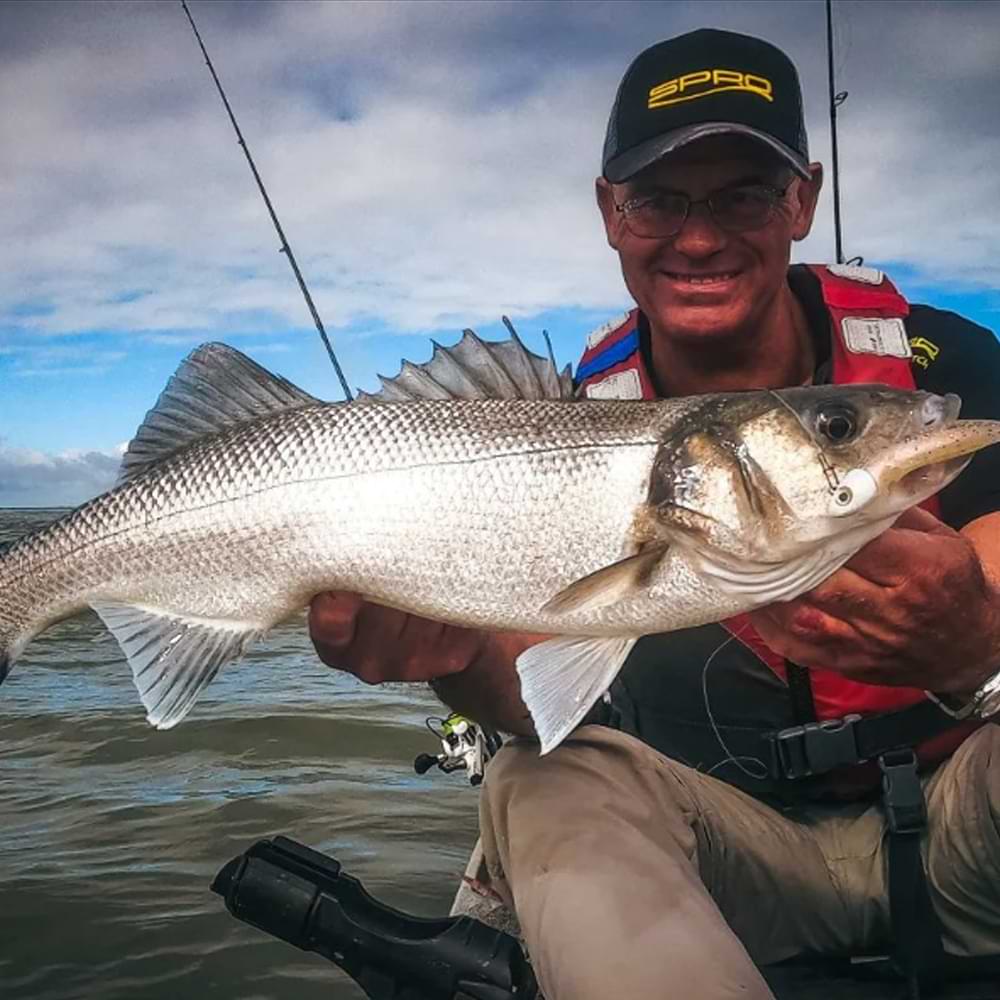 SPRO Specter Finesse Sea Spin MH 2.45m 9-50g