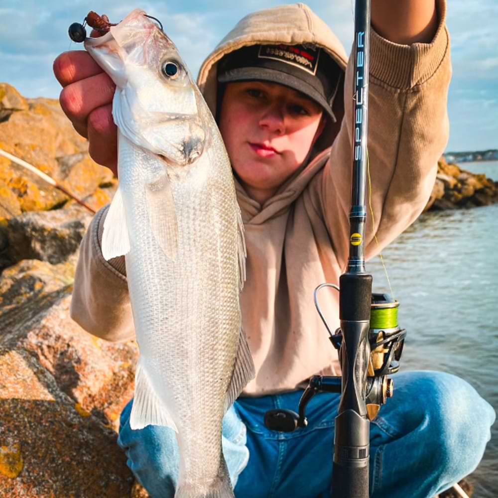 SPRO Specter Finesse Sea Spin MH 2.70m 9-50g