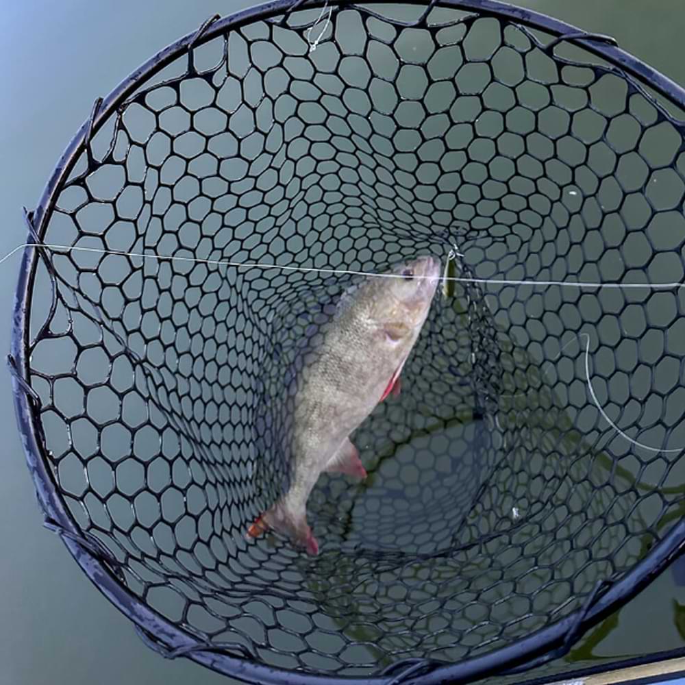 SPRO Flick Net Solid 60